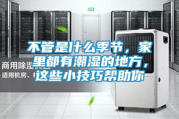 不管是什么季节，家里都有潮湿的地方，这些小技巧帮助你