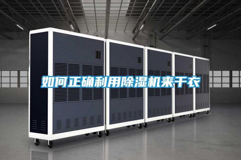 如何正确利用除湿机来干衣