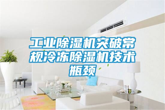 工业除湿机突破常规冷冻除湿机技术瓶颈