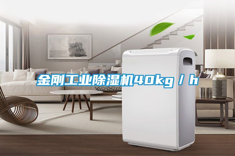 金刚工业除湿机40kg／h