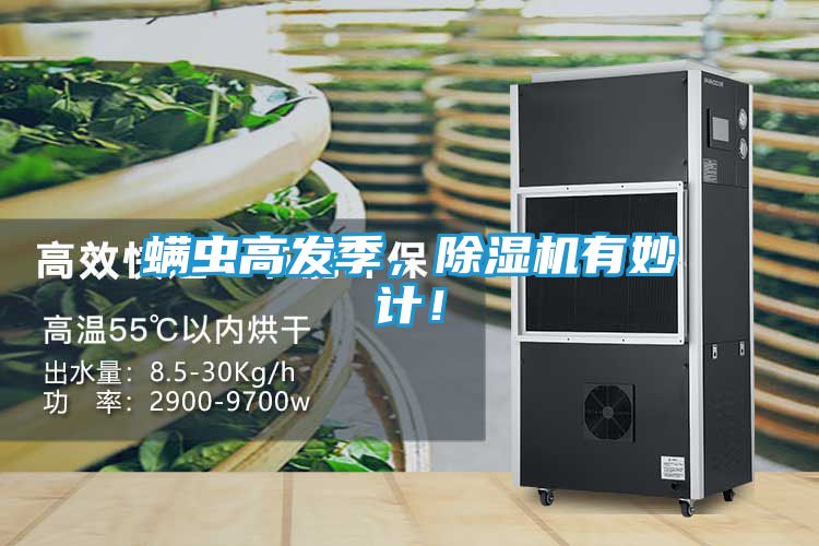 螨虫高发季，除湿机有妙计！