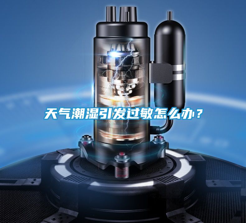 天气潮湿引发过敏怎么办？