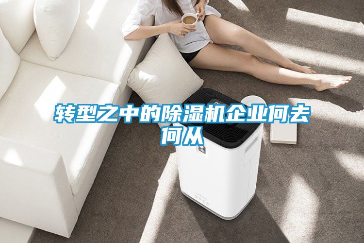转型之中的除湿机企业何去何从