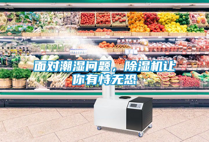 面对潮湿问题，除湿机让你有恃无恐