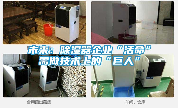 未来：除湿器企业“活命”需做技术上的“巨人”