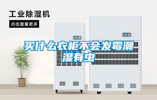 买什么衣柜不会发霉潮湿有虫