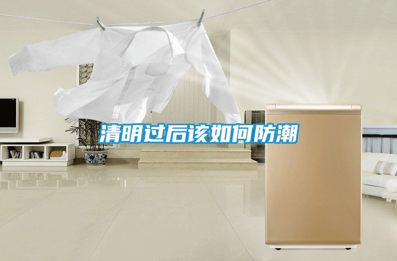 清明过后该如何防潮