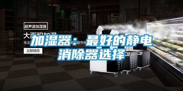 加湿器：最好的静电消除器选择