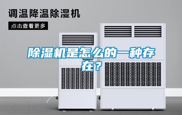 除湿机是怎么的一种存在？