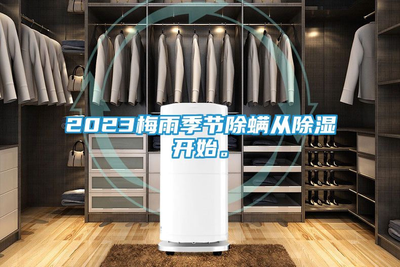 2023梅雨季节除螨从除湿开始。