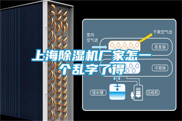 上海除湿机厂家怎一个乱字了得