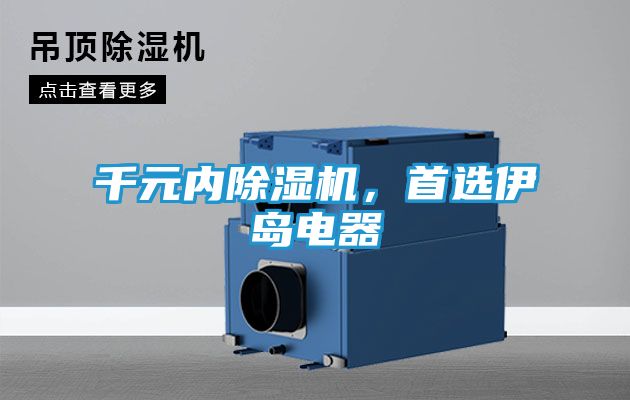 千元内除湿机，首选伊岛电器
