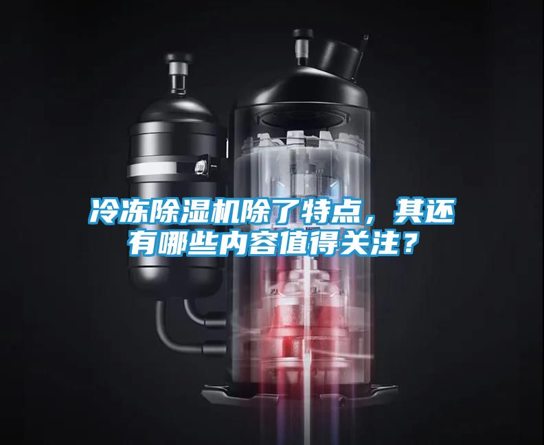 冷冻除湿机除了特点，其还有哪些内容值得关注？