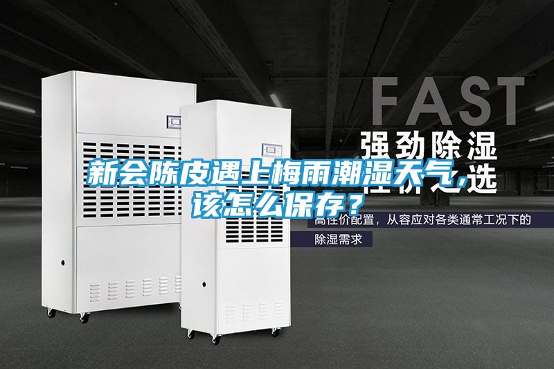 新会陈皮遇上梅雨潮湿天气，该怎么保存？