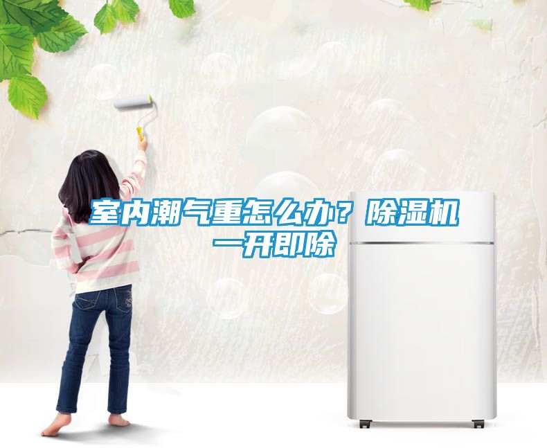 室内潮气重怎么办？除湿机一开即除