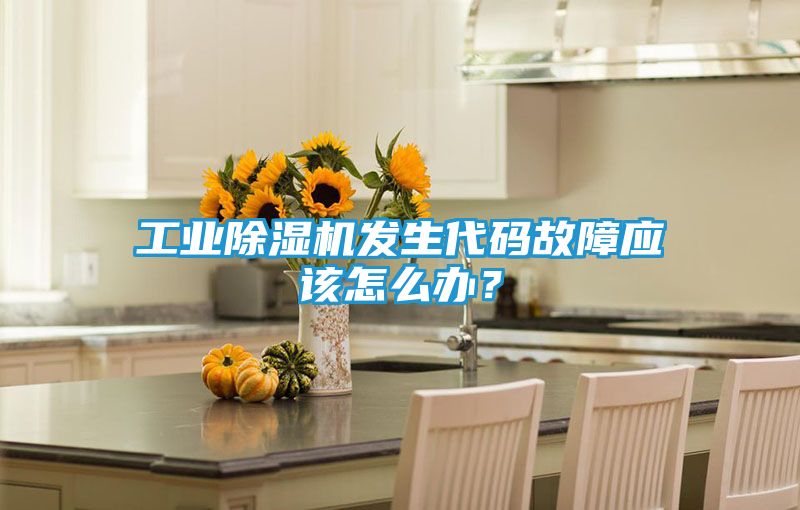 工业除湿机发生代码故障应该怎么办？