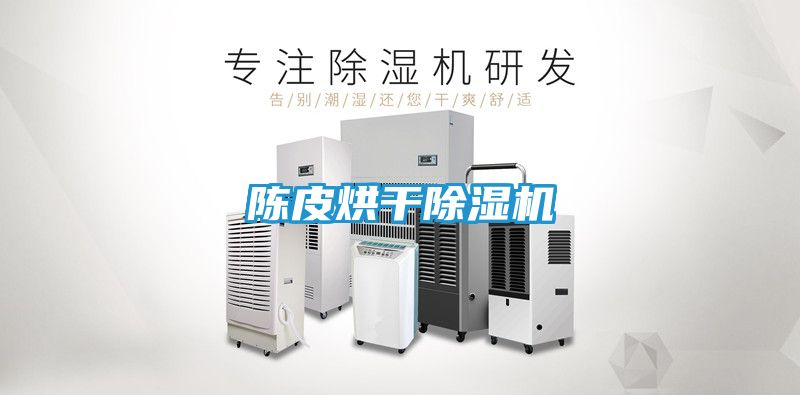 陈皮烘干除湿机