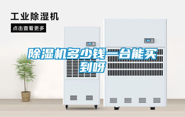 除湿机多少钱一台能买到呀