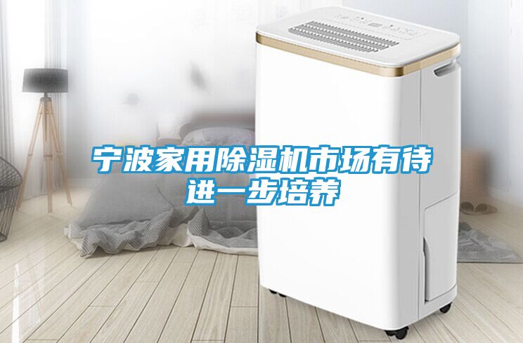 宁波家用除湿机市场有待进一步培养