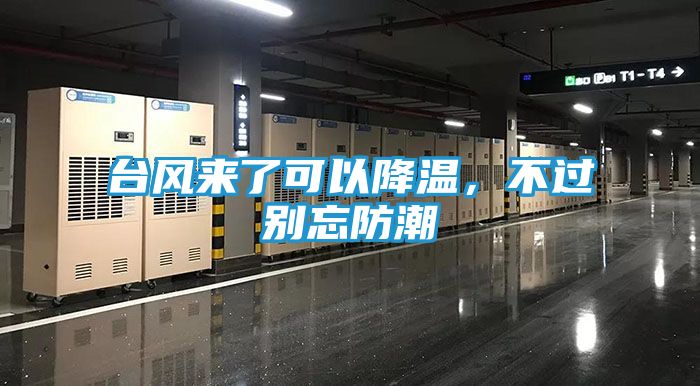 台风来了可以降温，不过别忘防潮