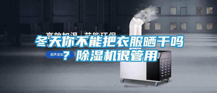 冬天你不能把衣服晒干吗？除湿机很管用