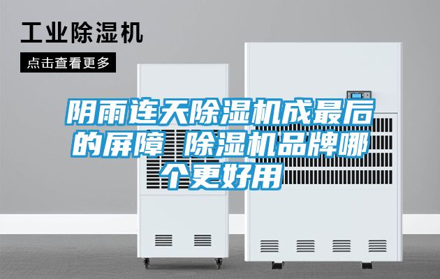 阴雨连天除湿机成最后的屏障 除湿机品牌哪个更好用
