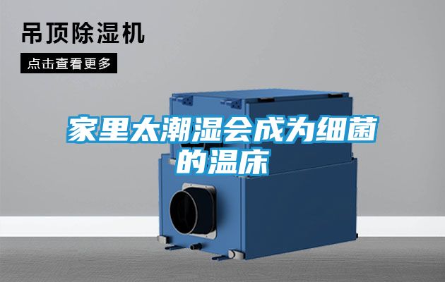 家里太潮湿会成为细菌的温床