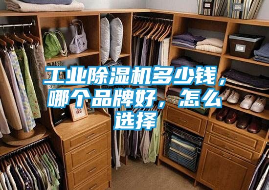 工业除湿机多少钱，哪个品牌好，怎么选择