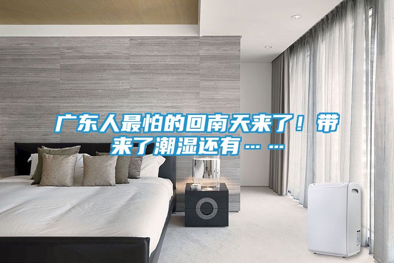 广东人最怕的回南天来了！带来了潮湿还有……