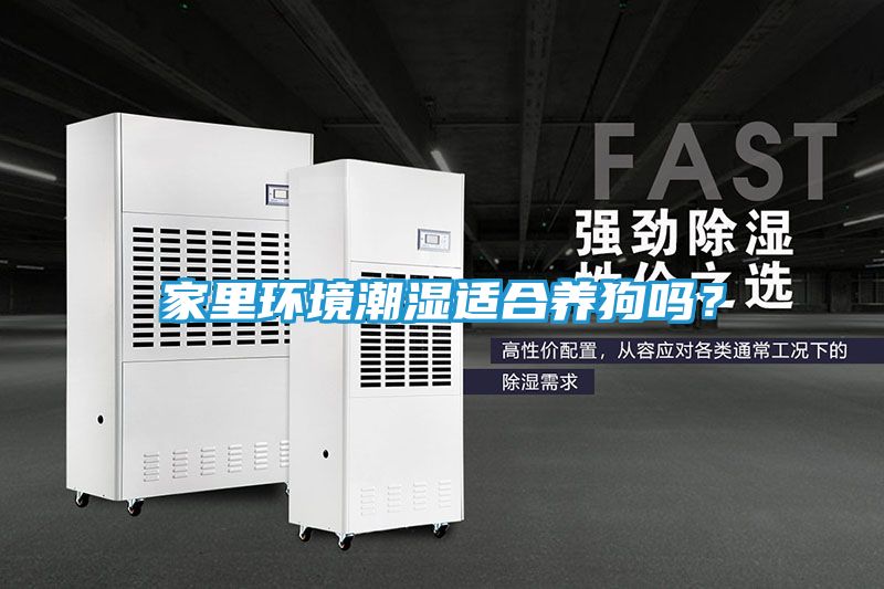 家里环境潮湿适合养狗吗？