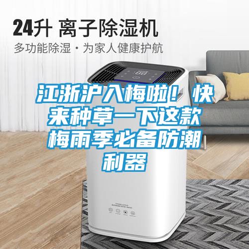 江浙沪入梅啦！快来种草一下这款梅雨季必备防潮利器