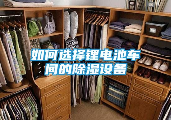 如何选择锂电池车间的除湿设备