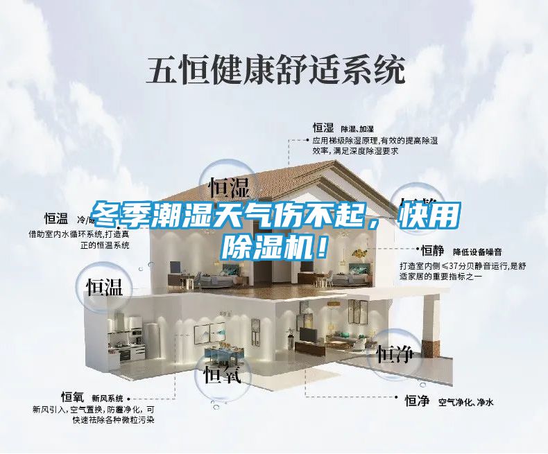 冬季潮湿天气伤不起，快用除湿机！