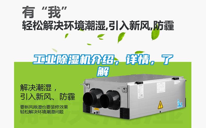 工业除湿机介绍，详情，了解