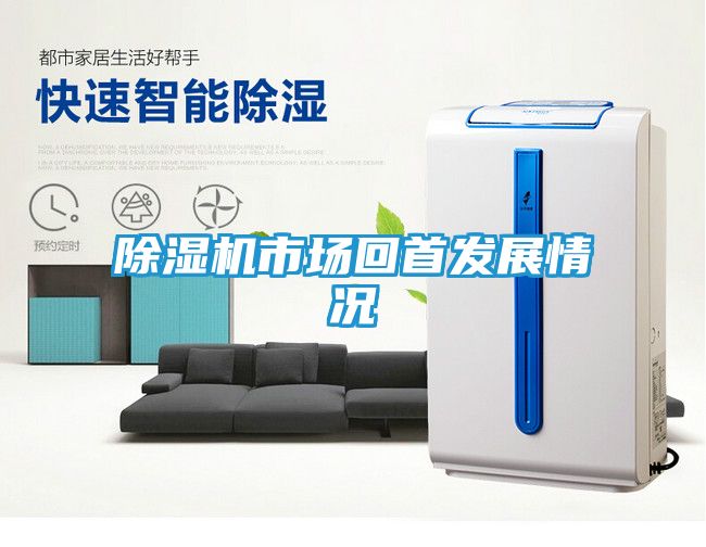 除湿机市场回首发展情况