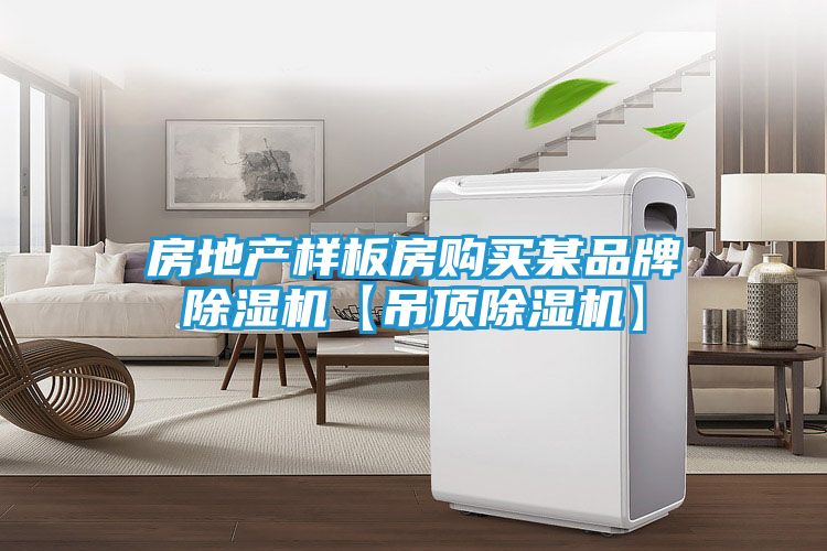 房地产样板房购买某品牌除湿机【吊顶除湿机】