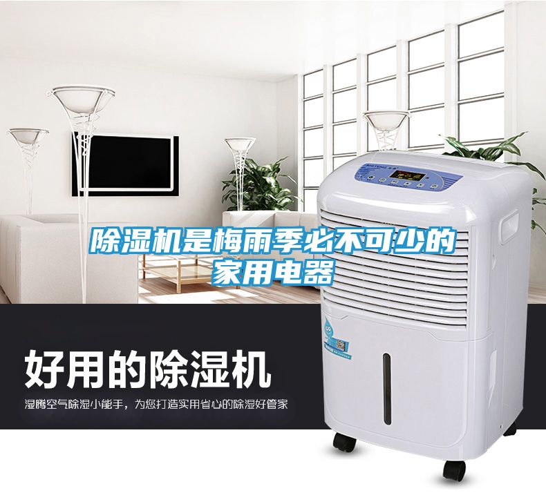 除湿机是梅雨季必不可少的家用电器