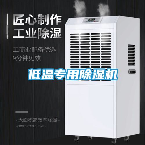 低温专用除湿机