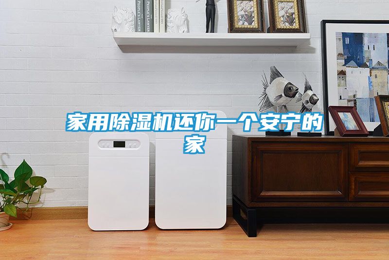 家用除湿机还你一个安宁的家