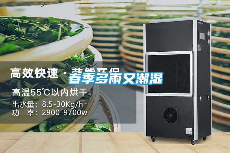 春季多雨又潮湿