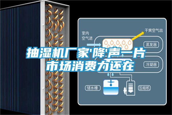 抽湿机厂家'降'声一片 市场消费力还在