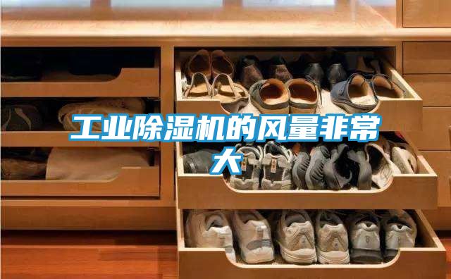 工业除湿机的风量非常大
