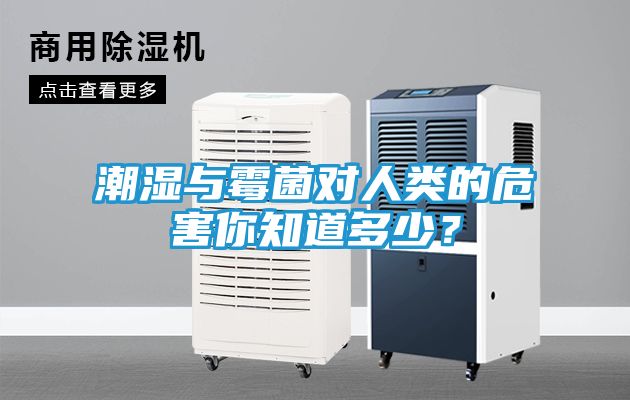潮湿与霉菌对人类的危害你知道多少？