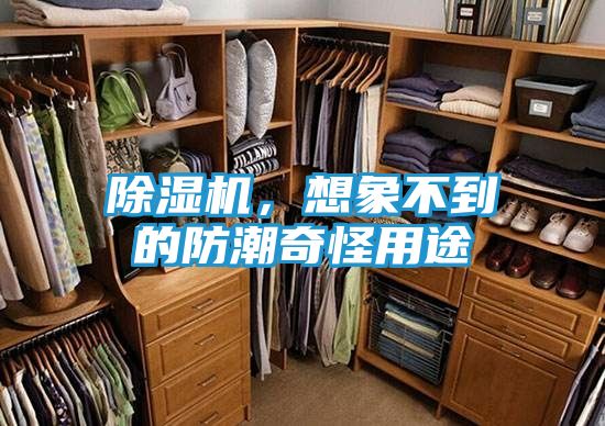 除湿机，想象不到的防潮奇怪用途