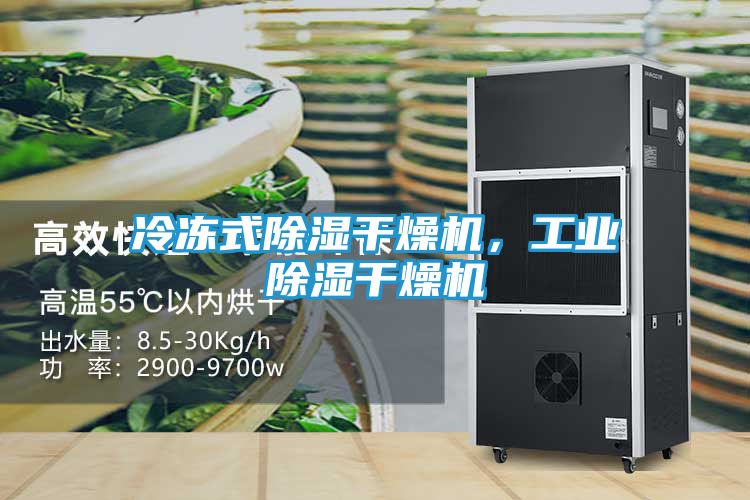 冷冻式除湿干燥机，工业除湿干燥机