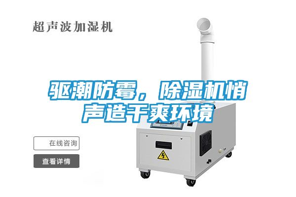 驱潮防霉，除湿机悄声造干爽环境