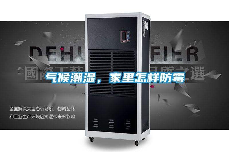 气候潮湿，家里怎样防霉