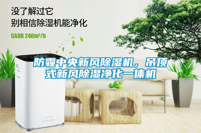 防霾中央新风除湿机，吊顶式新风除湿净化一体机