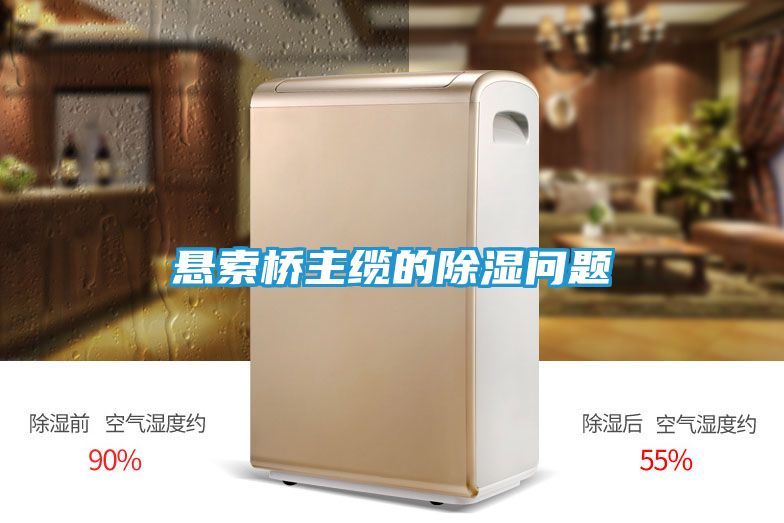 悬索桥主缆的除湿问题