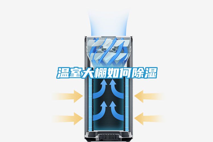 温室大棚如何除湿